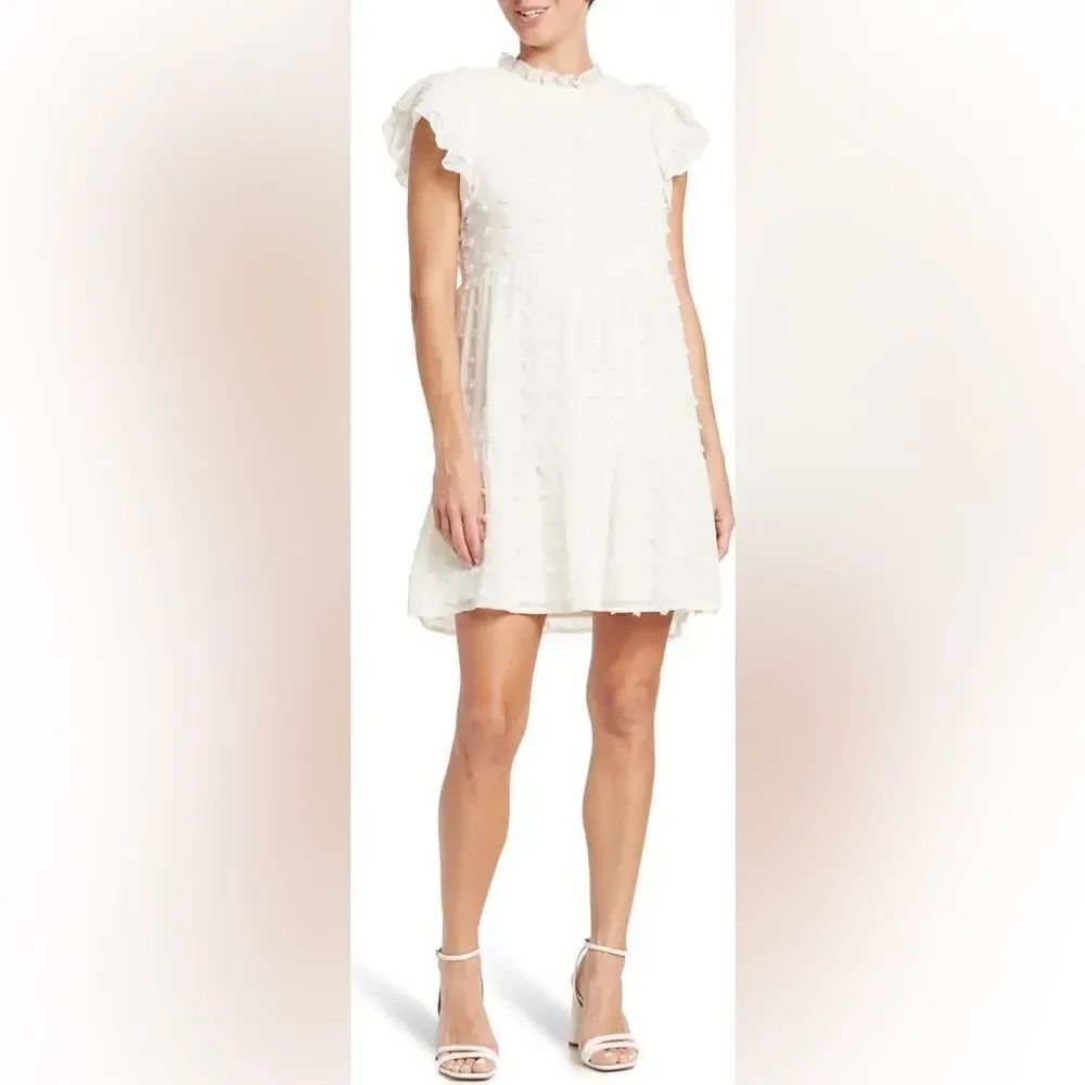 Love X Design Kelsey Chiffon Mini Swiss Dot Dress